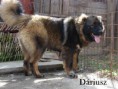/album/kepgaleria-dariusz/dariusz-23-jpg/
